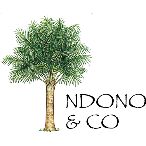 logo-NDONO-transparent